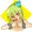 キミドリさん