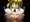 もみもみもみもみもみもみもみもみもみもみもみもみもみもみもみもみ