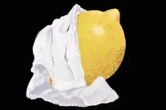 レモンにただの布を巻いたもの