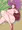 西のおっぱい魔女
