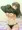 ぬぎぬぎ