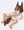けもみみぱい