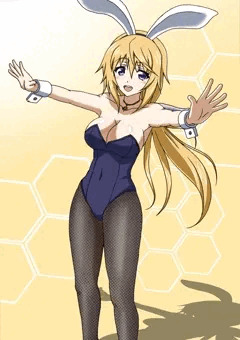 彼女はバニーなフランス娘