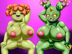 キレイハナマラカッチ　全体公開