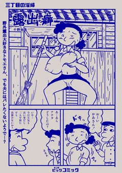 三丁目の淫婦