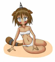 うちのアライグマ