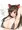 まん月の夜になるとま●毛がもさもさになっちゃう影狼ちゃん