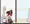 飛鳥ちゃん