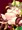 ボテリース