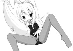 こぶりのうさぎ