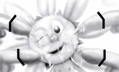Sunny