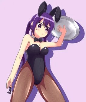 バニーリゼ