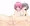 モモかわいいよね・１・