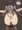 力づくで