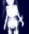 X-RAY/02 (ﾆｼﾞｴｯｸｽ)