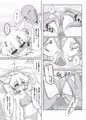 第１３回東方紅楼夢新刊