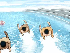 きょうてい