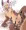 コウモリショタ