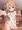 バックで突かれるココアちゃん