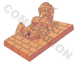 CMS : Wall of cum