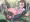 妊婦ネモちゃん