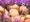 【ドラクエ３】僧侶ちゃん