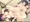 淫乱化結界の中で妹とお姉さんに挟まれている主人公（霊乃