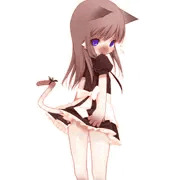 見えてしまうのは仕方が無いのです