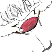 ほっぽちゃんぽっかりアナル