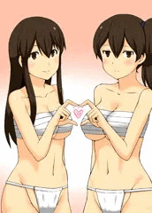 赤城と加賀