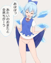 無知チルノ