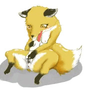きつね目覚め