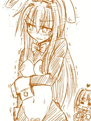クロの逆バニー