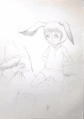 アオツラカツオドリちゃん