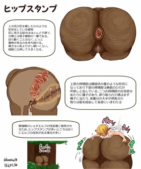 ファンタジー的なアレ002_搾精植物「ヒップスタンプ」