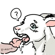 らくがき