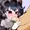 おしゃぶりとうせいき