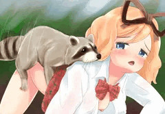 たぬき