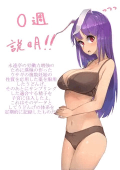 うどんげちゃん妊娠実験