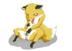 きつね目覚め
