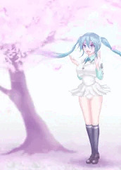 おはなみ