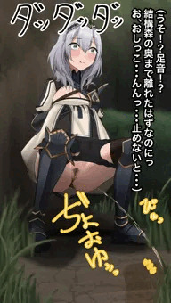 野ションするノ〇ル団長