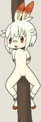 ヒバニー捕まえた