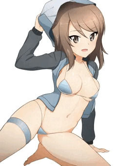 ガルパンのミカさん