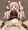るかちゃん強襲
