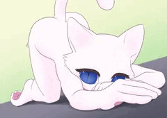 しろねこ　その２
