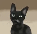 黒猫
