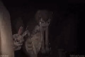 Sneaking Around
