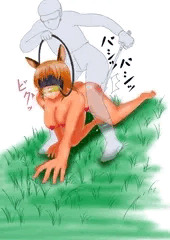 馬で競争