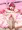 セーラ姫拘束姦